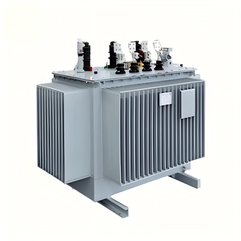 Máy biến áp điện ngâm dầu 10kV dòng S13